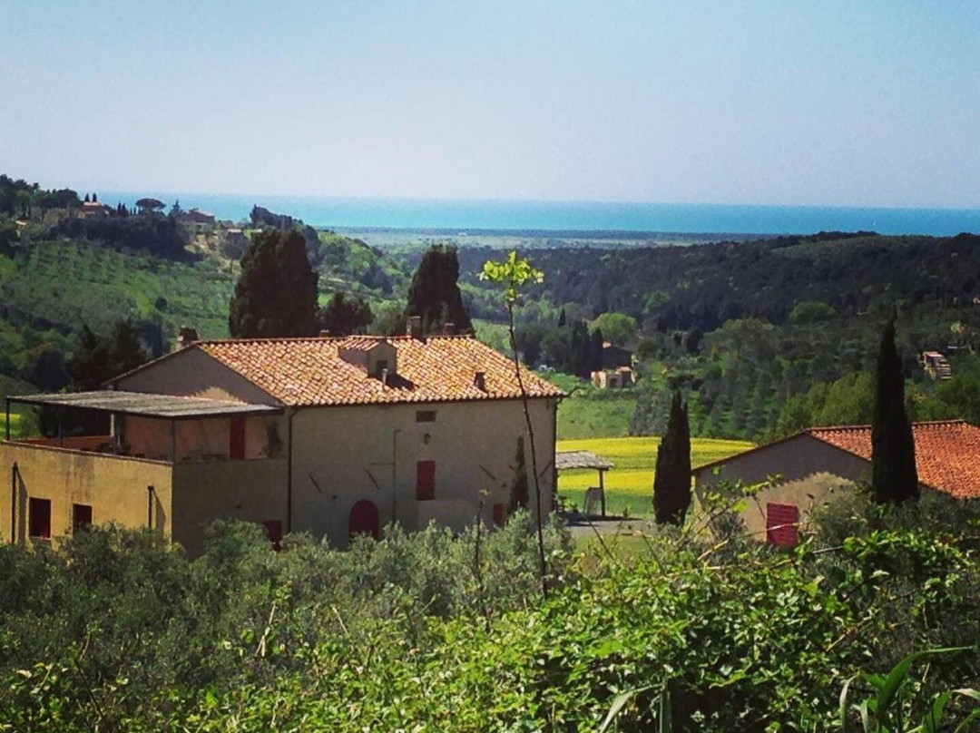 Fattoria Podere i Luoghi