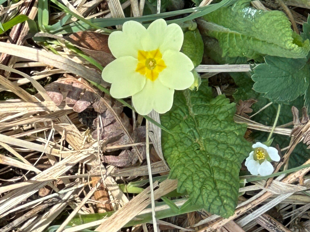 Grass Wood Nature Reserve-Grassington必去景点