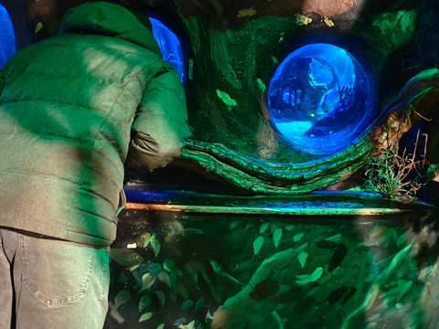 Sea Life Blankenberge-布朗肯堡必去景点