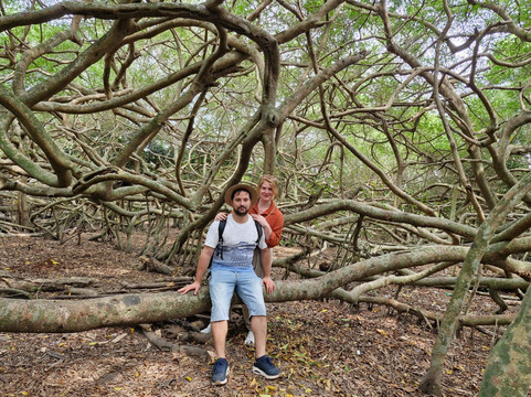 Mekong Typicque-芹苴必去景点