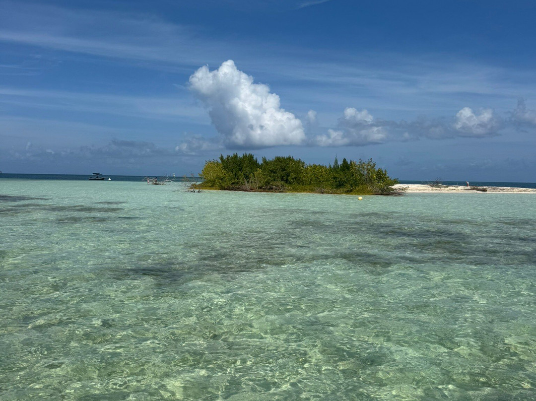 Nico Excursions-Sainte Rose必去景点