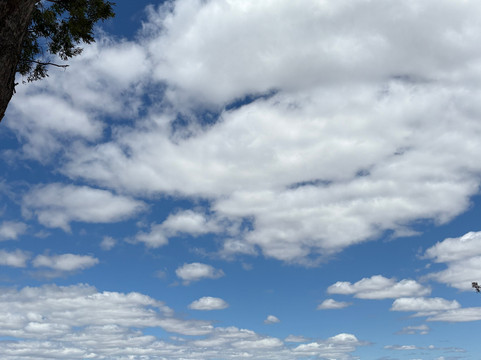 Stein-Budgee Budgee必去景点