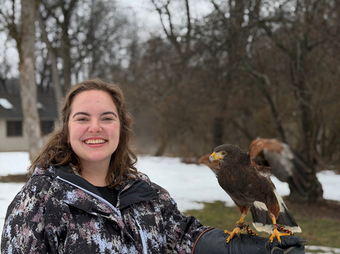 Ohio School Of Falconry-哥伦布必去景点