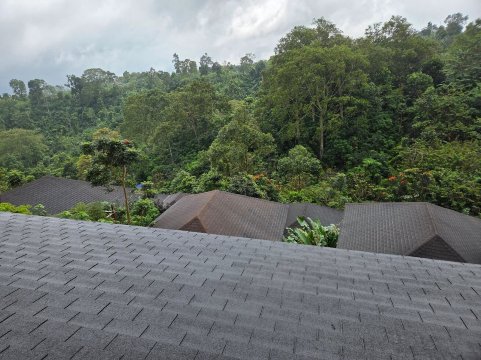 Giriwood Hotel & Villa-官方