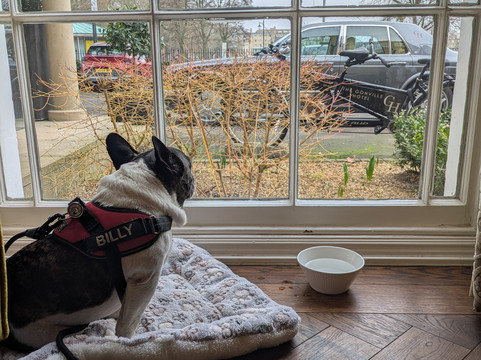 冈维尔酒店主图