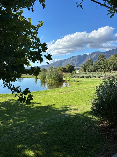 薰衣草农场招待所-官方