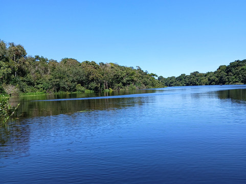 Amazon Green Island tour-Novo Airao必去景点