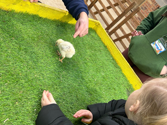 Monk Park Farm-Bagby必去景点