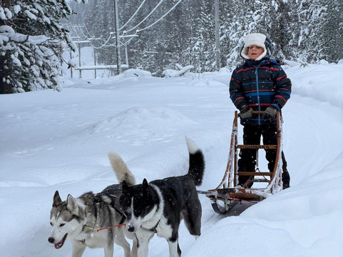 Ilonka Farm & Cafe-伊瓦洛必去景点