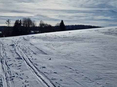 塔布里克伯格酒店主图