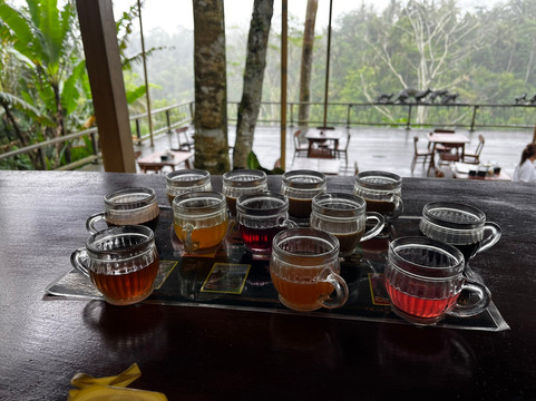 Bali Fun Bike Adventure-Pejeng Kaja必去景点