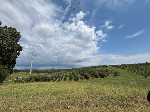 Chattooga Belle Farm Distillery-Long Creek必去景点