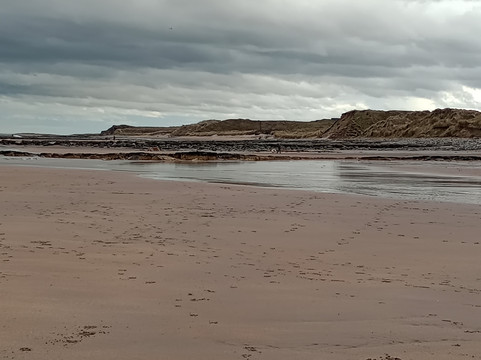 Cocklawburn Beach-特威德河畔贝里克必去景点