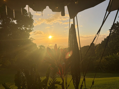 Experience Nutridge-火奴鲁鲁必去景点