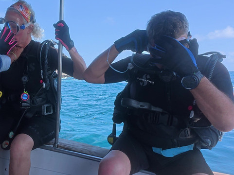 Scuba Iguana-阿约拉港必去景点