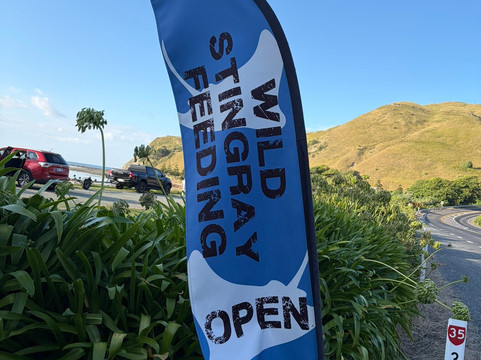 Dive Tatapouri-Gisborne Region必去景点