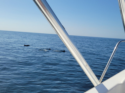 Samara Deep Sea Fishing And Lodge-萨玛拉滩必去景点