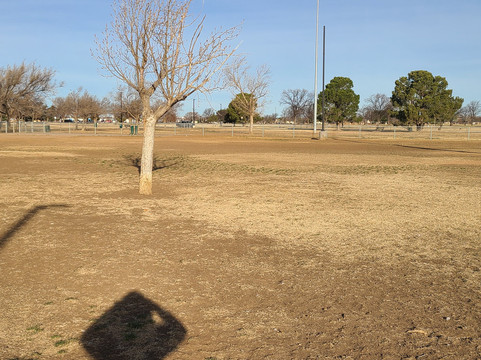 John Stiff Memorial Dog Park-阿马里洛必去景点