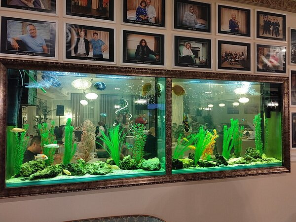 老村温泉酒店主图