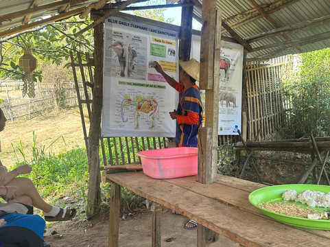 Blue Daily Elephant Care Sanctuary-清迈必去景点