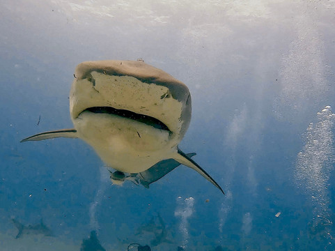 Epic Diving-West End必去景点