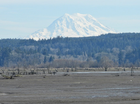 尼斯阔利国家野生动物保护区-奥林匹亚必去景点