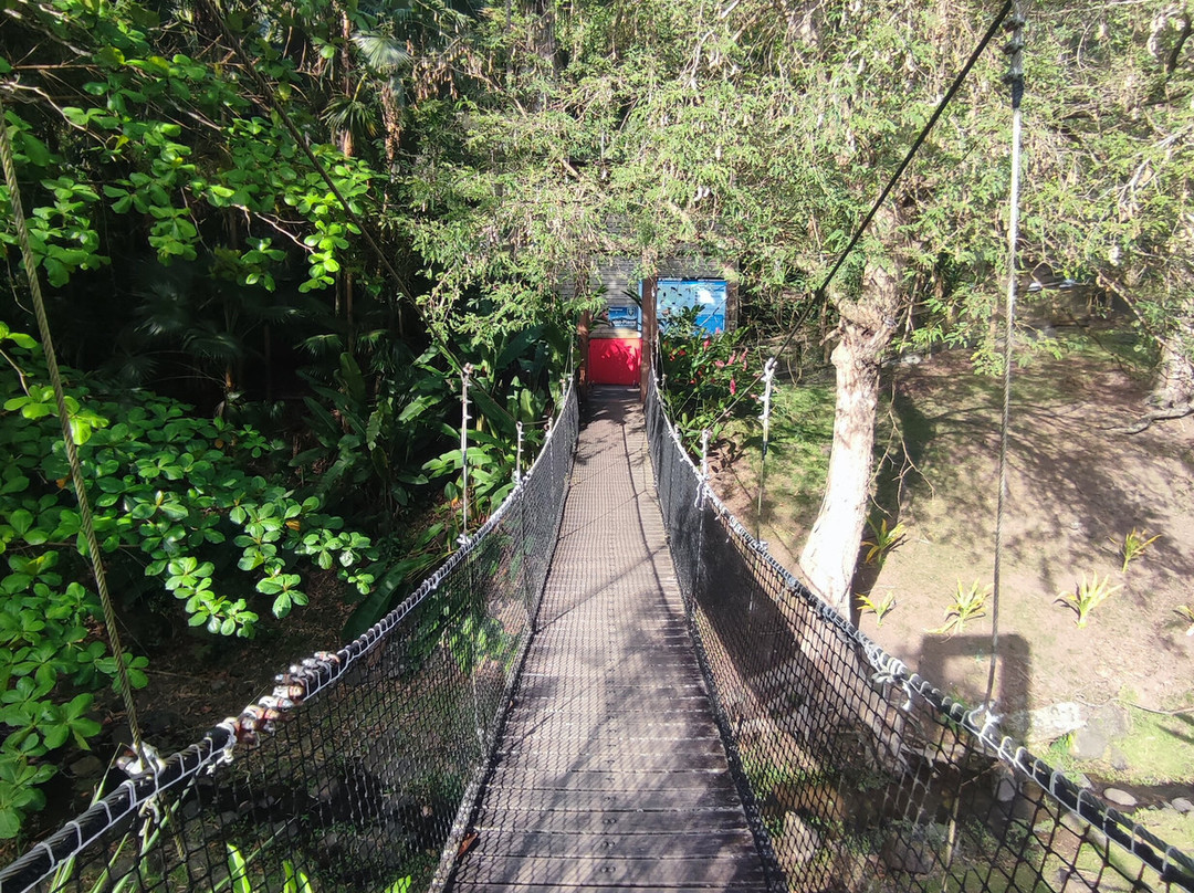 Zoo de Martinique-Le Carbet必去景点