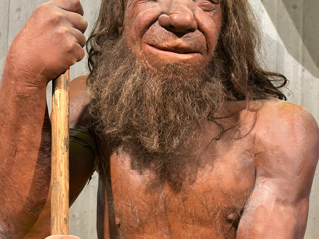 Neanderthal Museum-Mettmann必去景点
