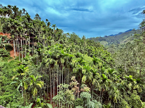 Wicky Tours Sri Lanka-尼甘布必去景点