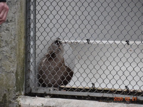 Grandfather Mountain State Park-Banner Elk必去景点
