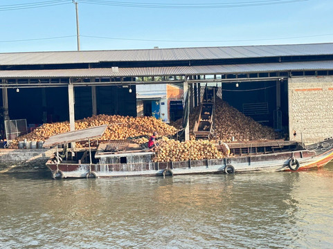 Mango Cruises-胡志明市必去景点