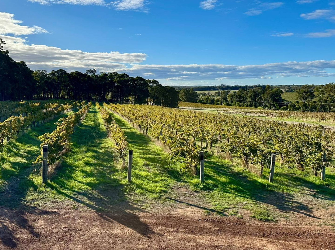 Willespie Estate | Margaret River-Wilyabrup必去景点