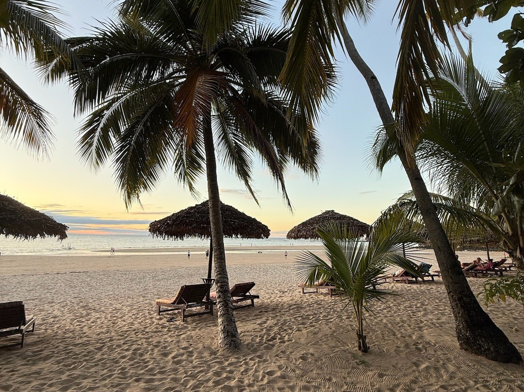 Wild-madagascar-tours-安塔那那利佛必去景点