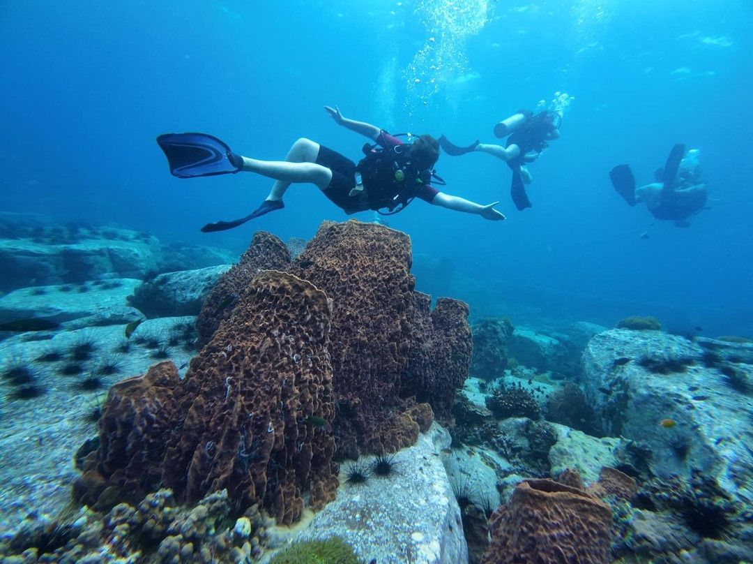 Scuba Nation Diving Centre-高龙撒冷岛必去景点