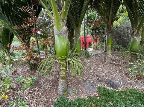 Sculptureum-马塔卡纳小镇必去景点