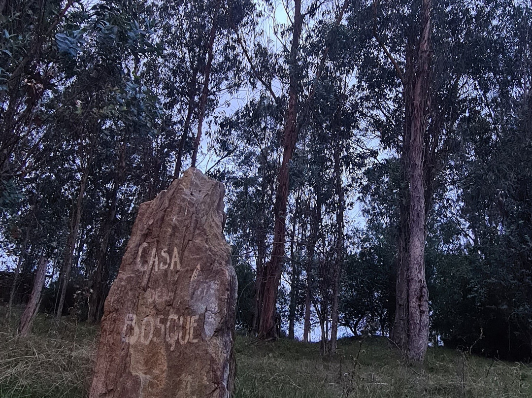 Cerro Mistico Hotel y Ecoparque主图