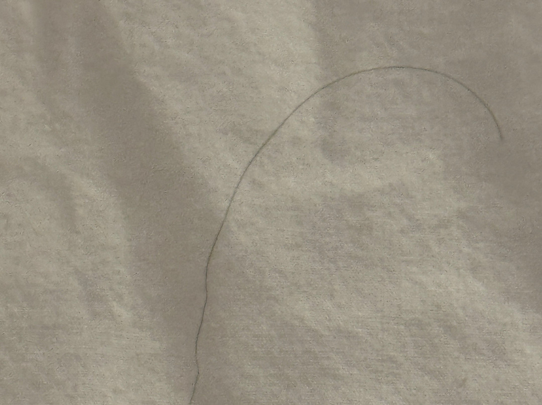 弗雷德里克斯堡玛丽华盛顿凯悦嘉轩酒店主图