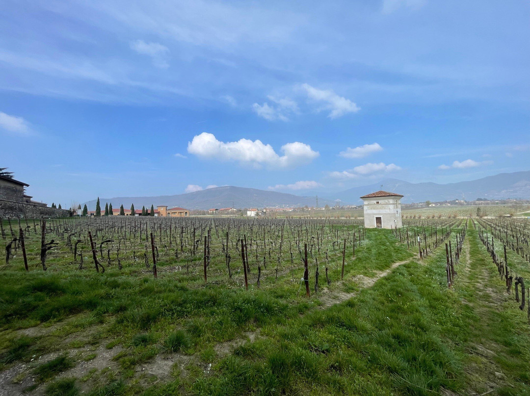 Berlucchi Winery-Corte Franca必去景点