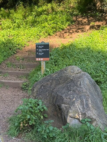 Robin Williams Rainbow Tunnel-索萨利托必去景点