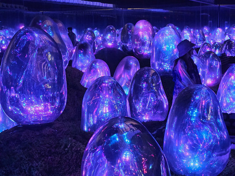 teamLab Planets TOKYO-Toyosu必去景点