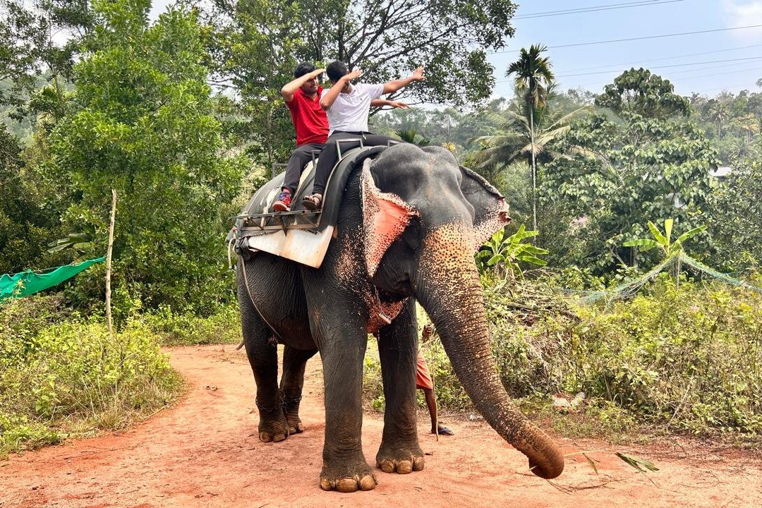 Paradise Holidays-柯钦必去景点