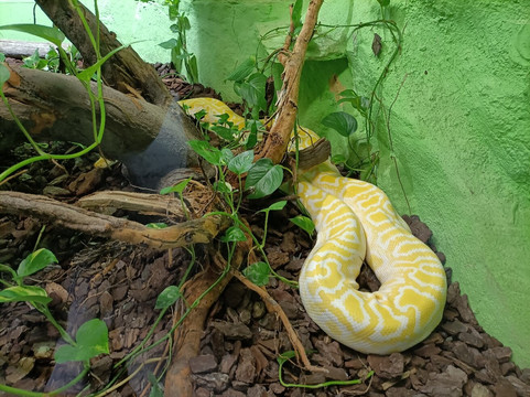 Tiergarten Ulm-乌尔姆必去景点