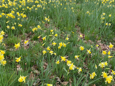 Brantwood-Coniston必去景点