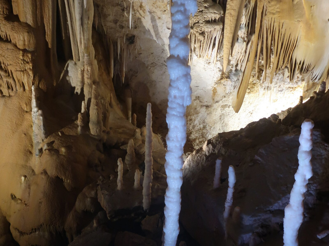 Hoshino Cave-南大东村必去景点