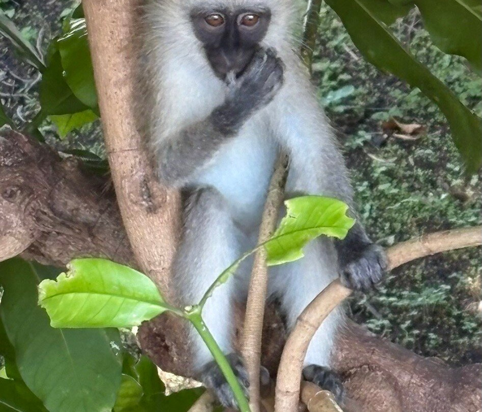 Africa Safari Trips-内罗毕必去景点