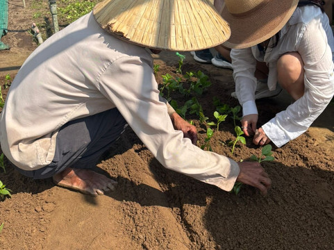 Hoi An Day Trip Company-会安必去景点
