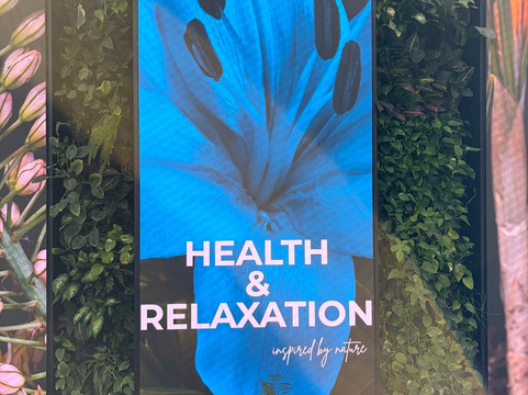 Therme Bucuresti-Balotesti必去景点