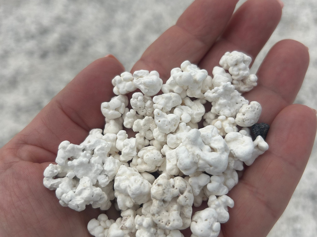 Popcorn Playa-科拉雷侯必去景点