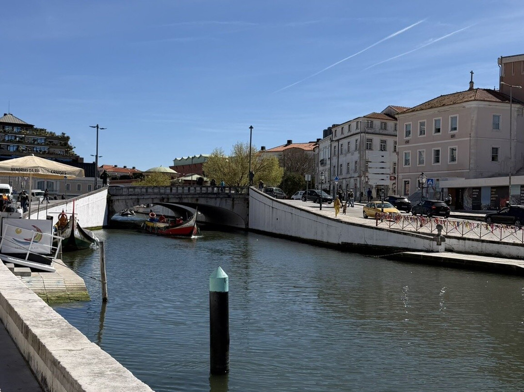 Canal Central de Aveiro-阿威罗必去景点
