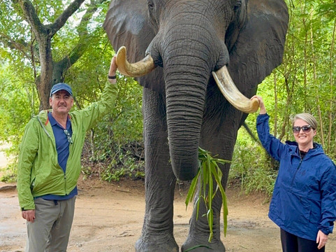 African Safari Group-开普敦必去景点